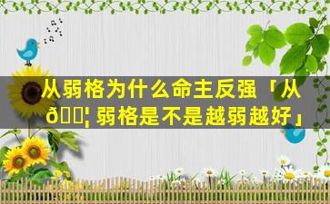 从弱格为什么命主反强「从 🐦 弱格是不是越弱越好」